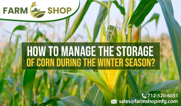 How to manage the storage of corn during the winter season?