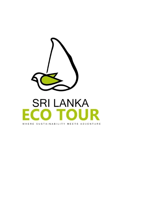 Travel to Sri Lanka To Explore The Natural and Historical Treasure