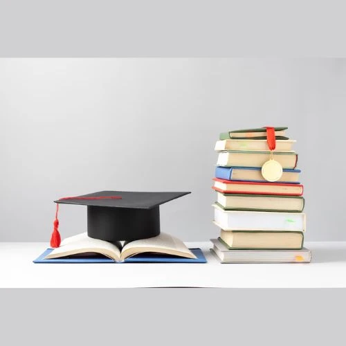 Top Financial Modeling Course with Placement in India