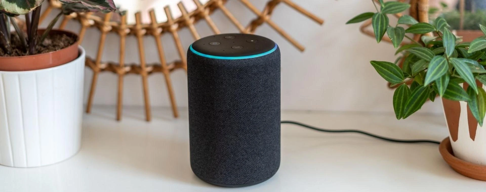 How to Set Up a TP-Link Smart Plug with Alexa?