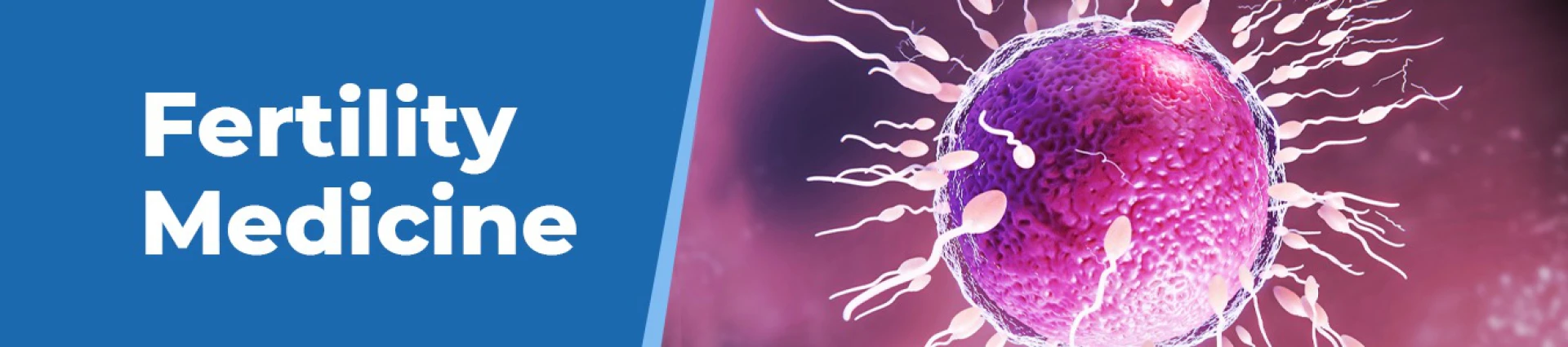 Preparing for IVF: Enhancing Success Rates Through Lifestyle Adjustments and Supplements