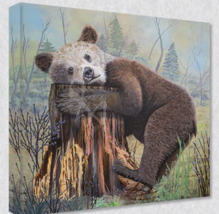 Exploring Wall Art Collections: Transform Your Space with WallArt4You