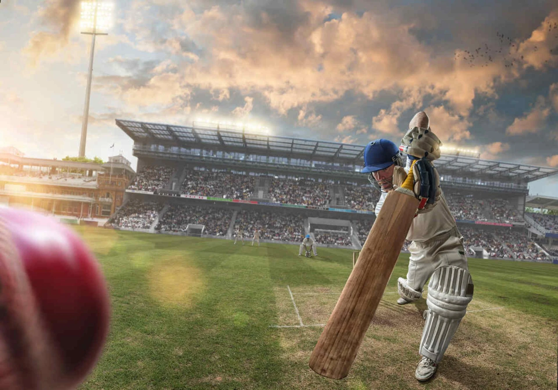 Key Features to Look for in a Top Cricket Betting App