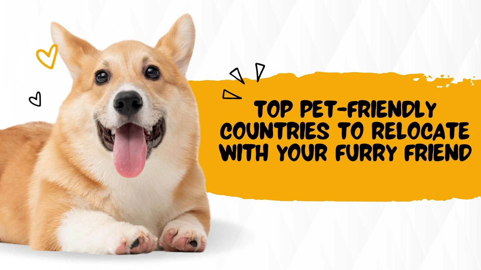 Top Pet-Friendly Countries to Relocate with Your Furry Friend
