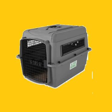 Buy IATA-Approved Pet Cage Online