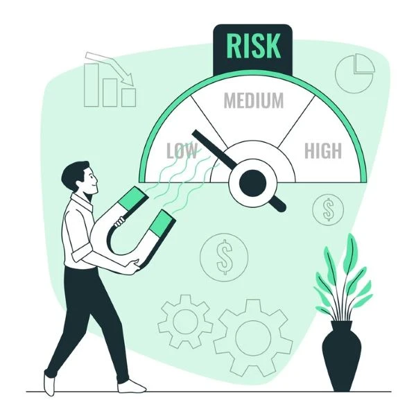Insights into the Future: Risk Management Market Analysis 2024-2033