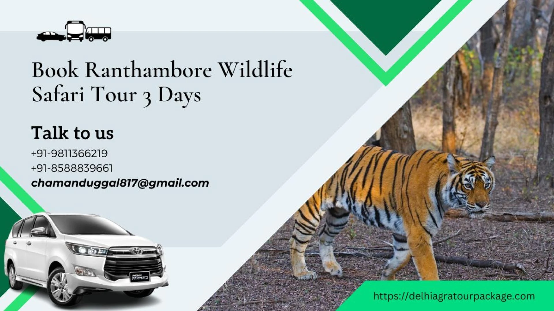 Book Ranthambore Wildlife Safari Tour 3 Days