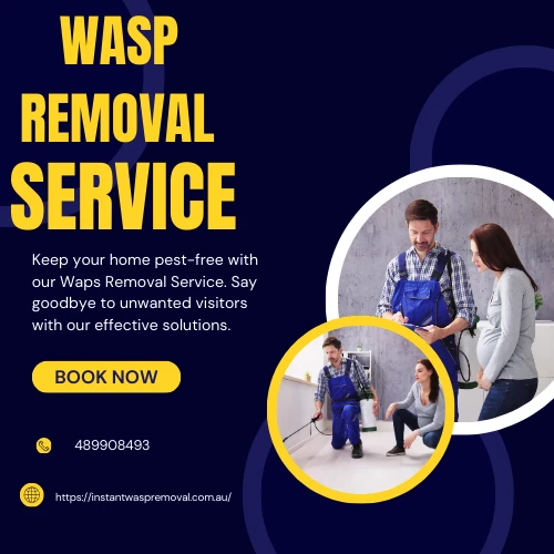 Swift Solutions: Wasp Removal in Abbotsford