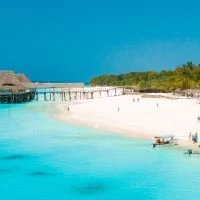 Planning Your Dream Safari - Tanzania and Ngorongoro Crater Tour Tips