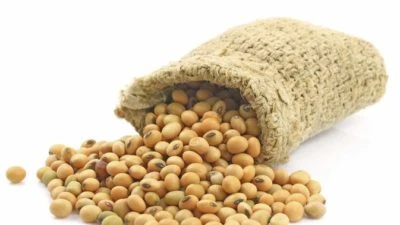 Lecithin Market Extensive Growth Opportunities To Be Witnessed By 2021-2030 | GET FLAT 20% OFF ON