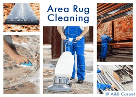 How to Choose the Best Area Rug Cleaning Method in Brooklyn