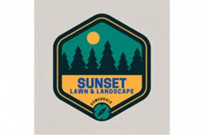 How To Maintain Beautiful and Lush-Green Office Lawn Year-Round?