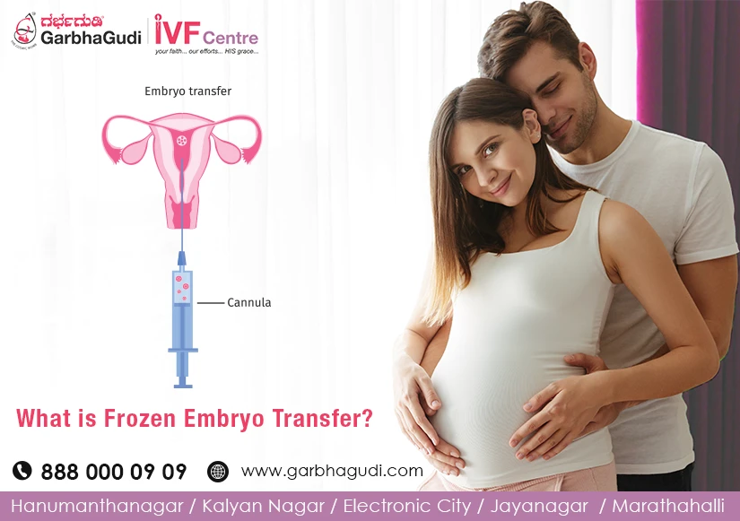 What To Expect After Your Frozen Embryo Transfer (FET)