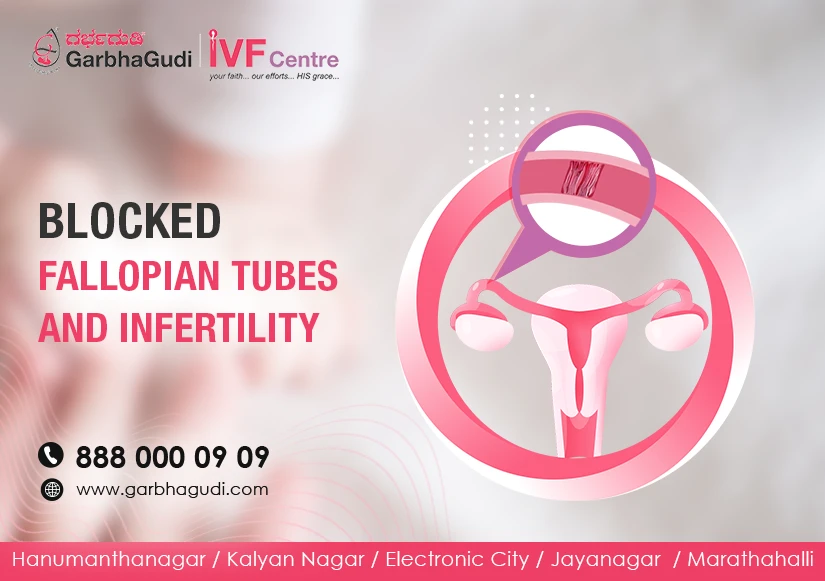 Do Not Let The Blocked Fallopian Tubes Be A Barricade On Your Route To Having Your Baby.