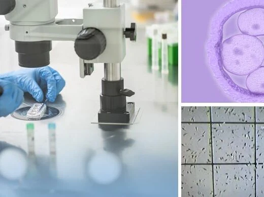 A comprehensive training programme with hands on in clinical Embryology