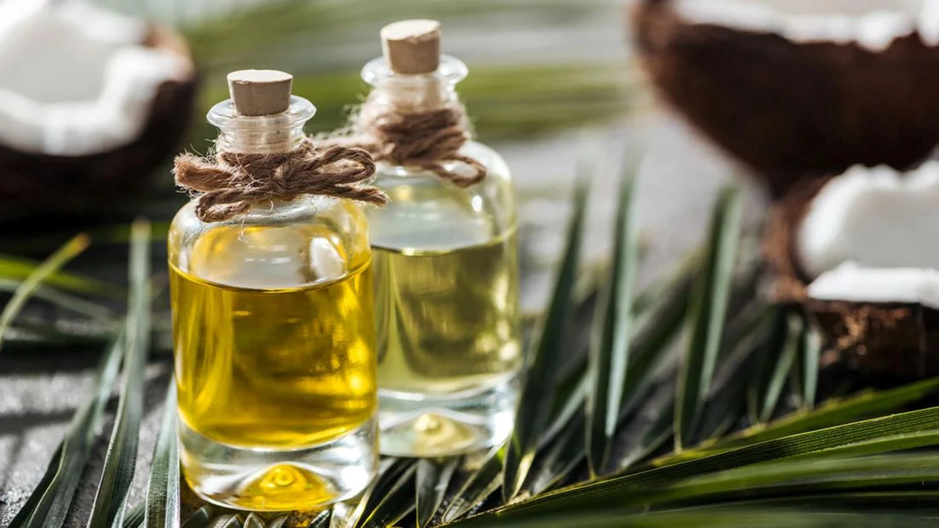 Why Is Everyone Talking About Natural Essential Oils?