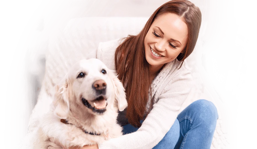 Reasons behind people’s changing attitude towards emotional support animals?