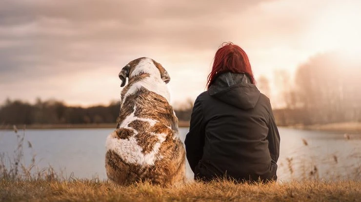 Benefits of having an Emotional Support Animal Letter.