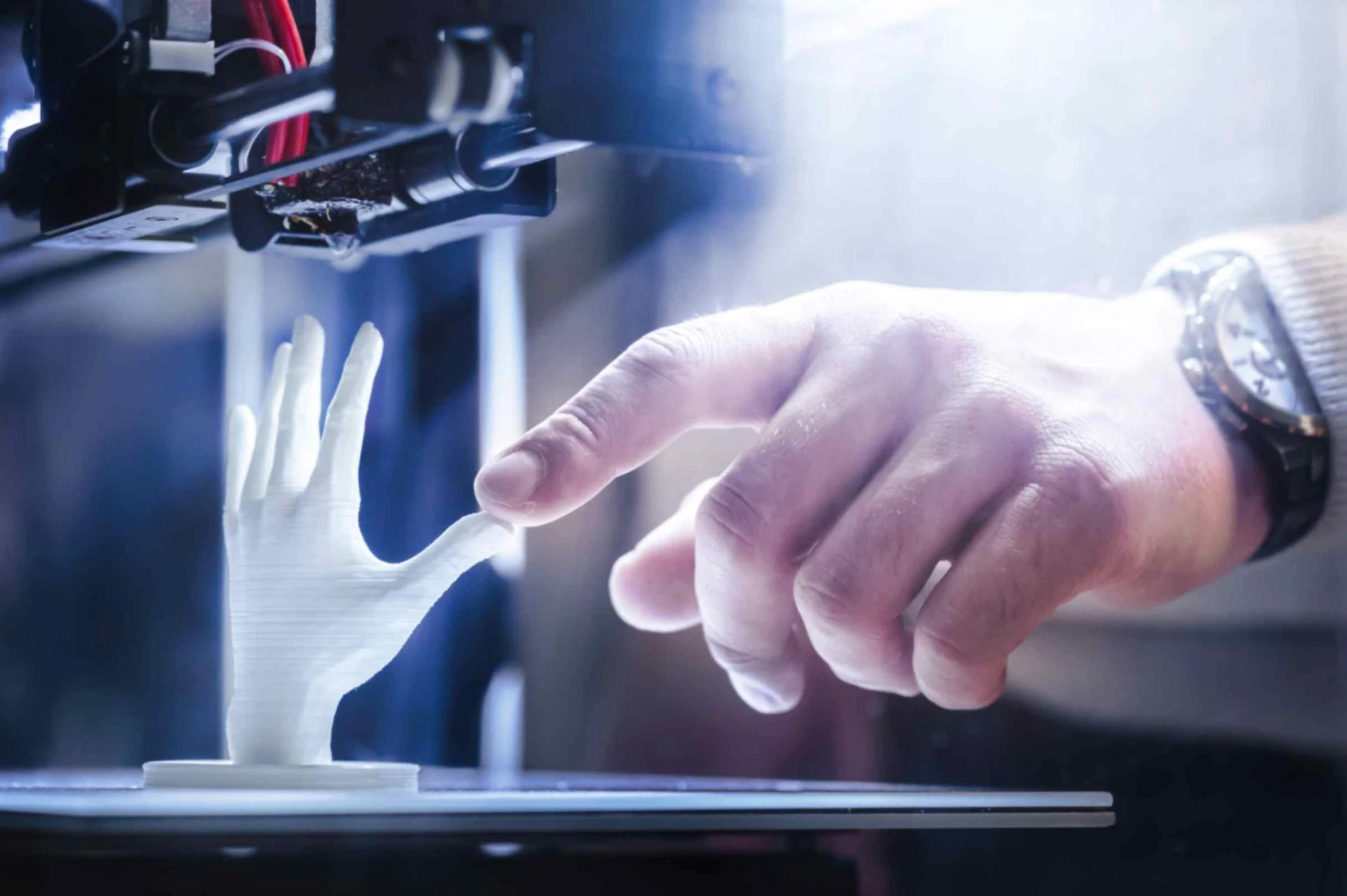 From Design to Draft: Navigating the Software Ecosystem of 3D Printing