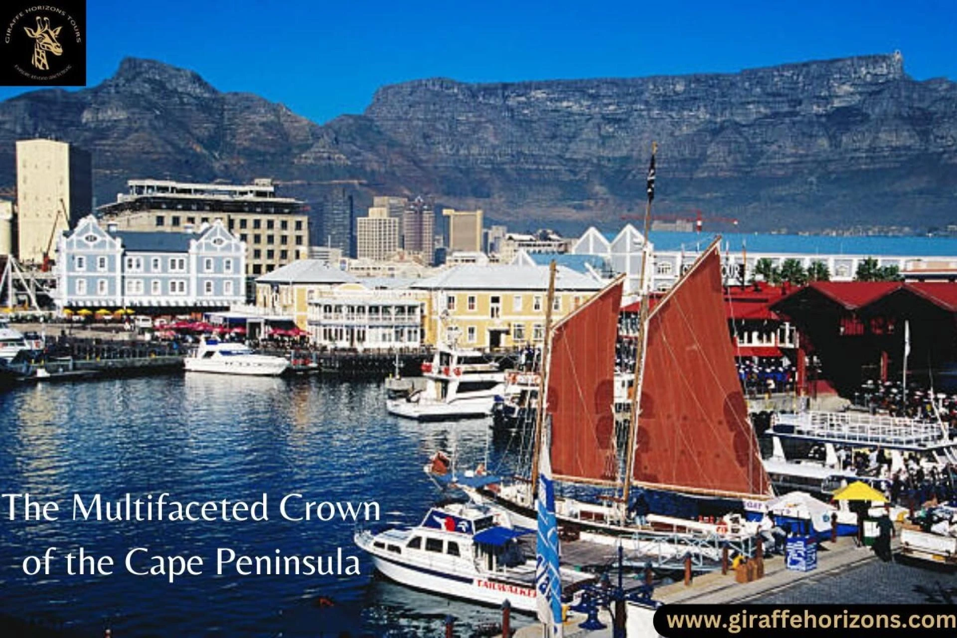 Scaling the Majestic Table Mountain