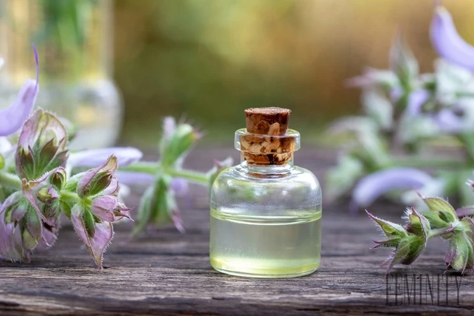 Exploring the Best Perfume Oils
