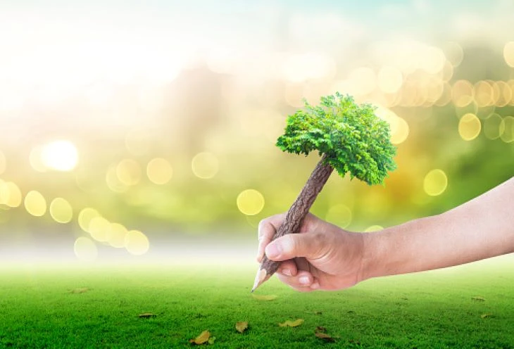 What Do Top ESG Consulting Firms Do?