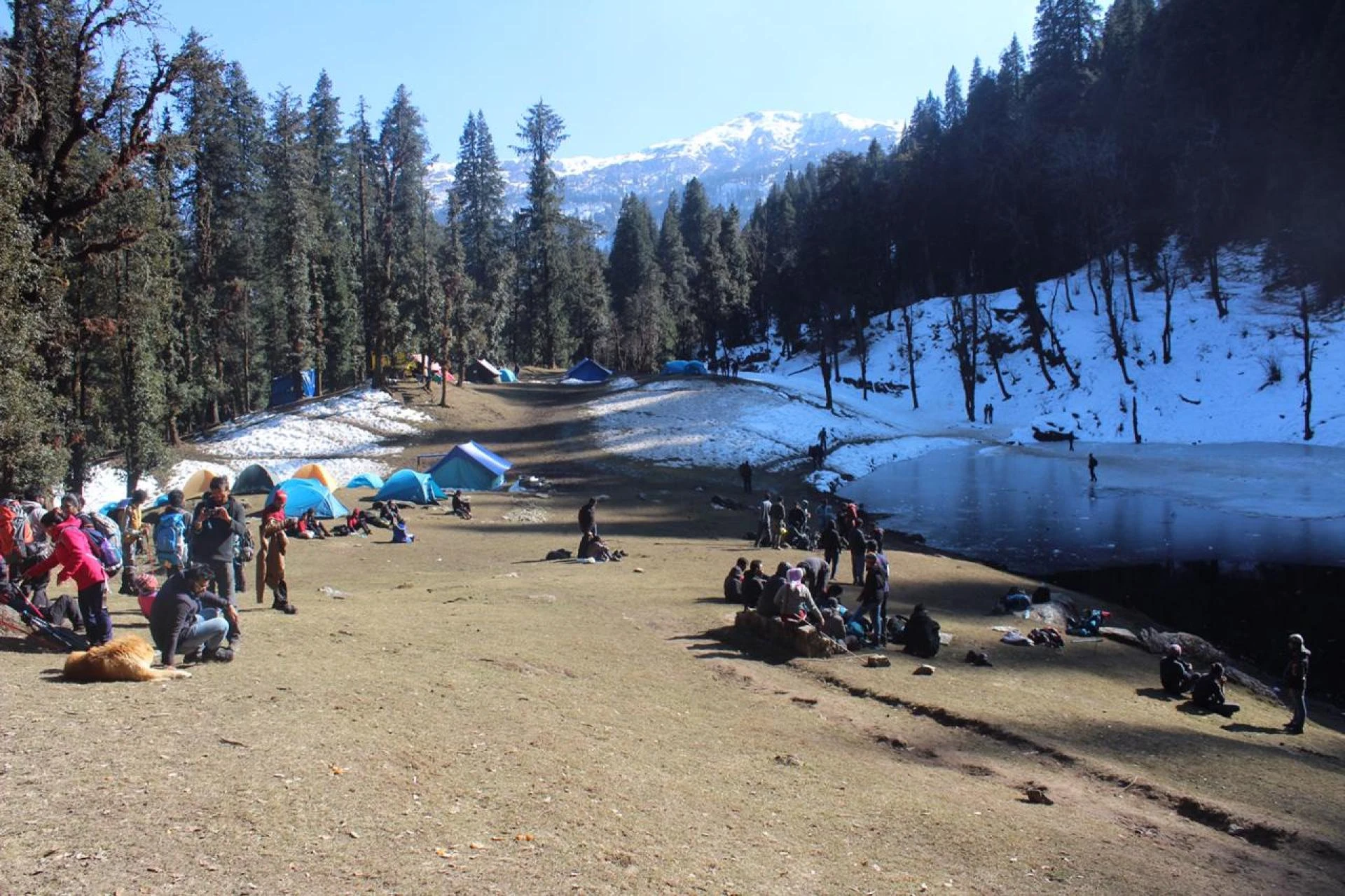 Exploring the Magnificence: Why Kedarkantha Trek Should Be Your Next Adventure