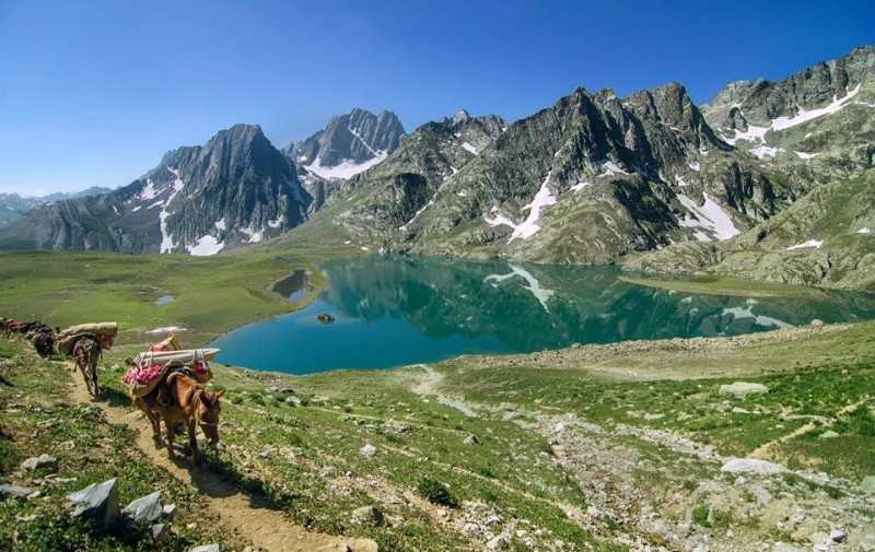 Discover Budget Ladakh Tour Packages for an Affordable Adventure