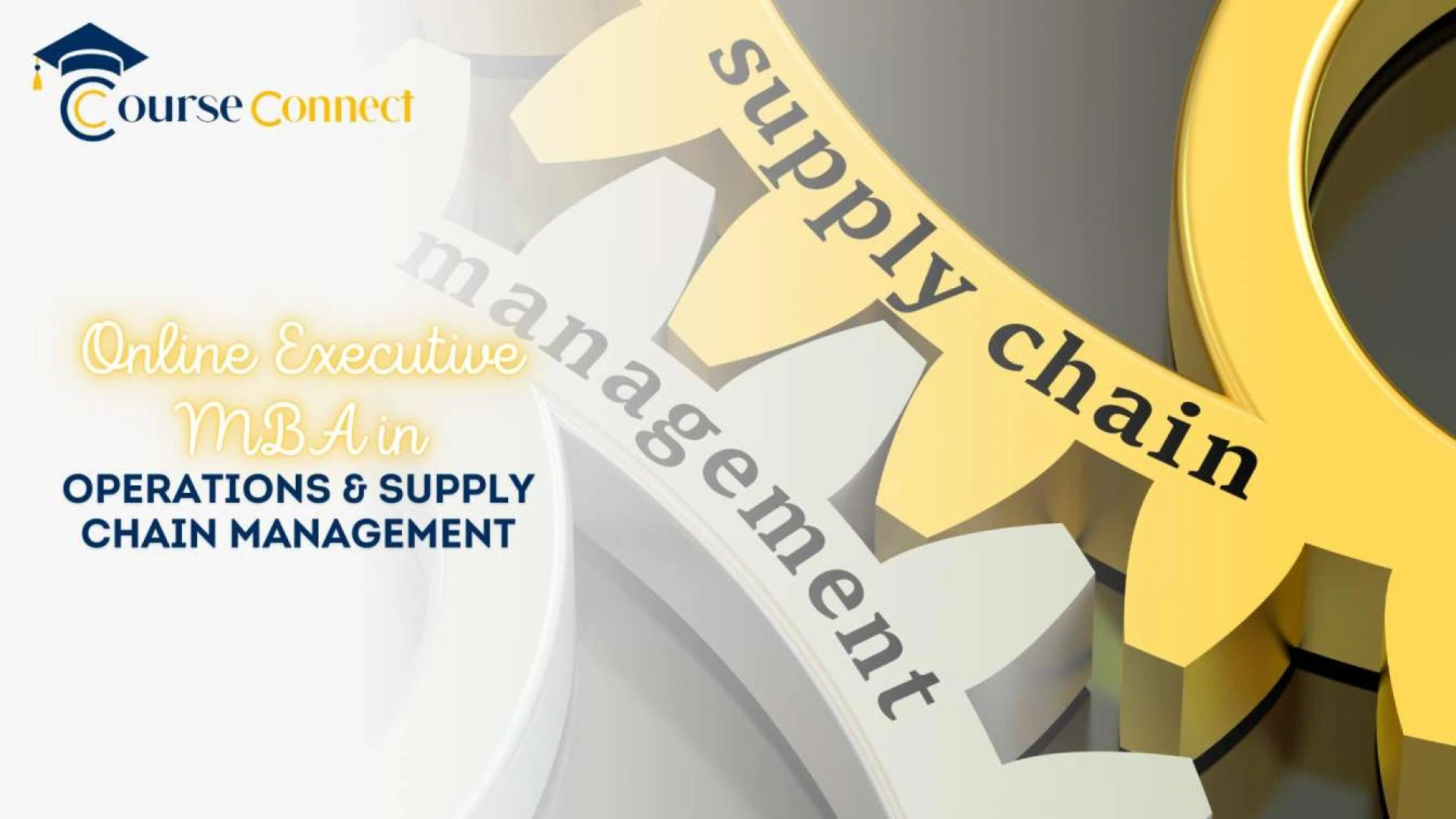Master Efficiency with an Online Executive MBA in Operations &amp; Supply Chain Management