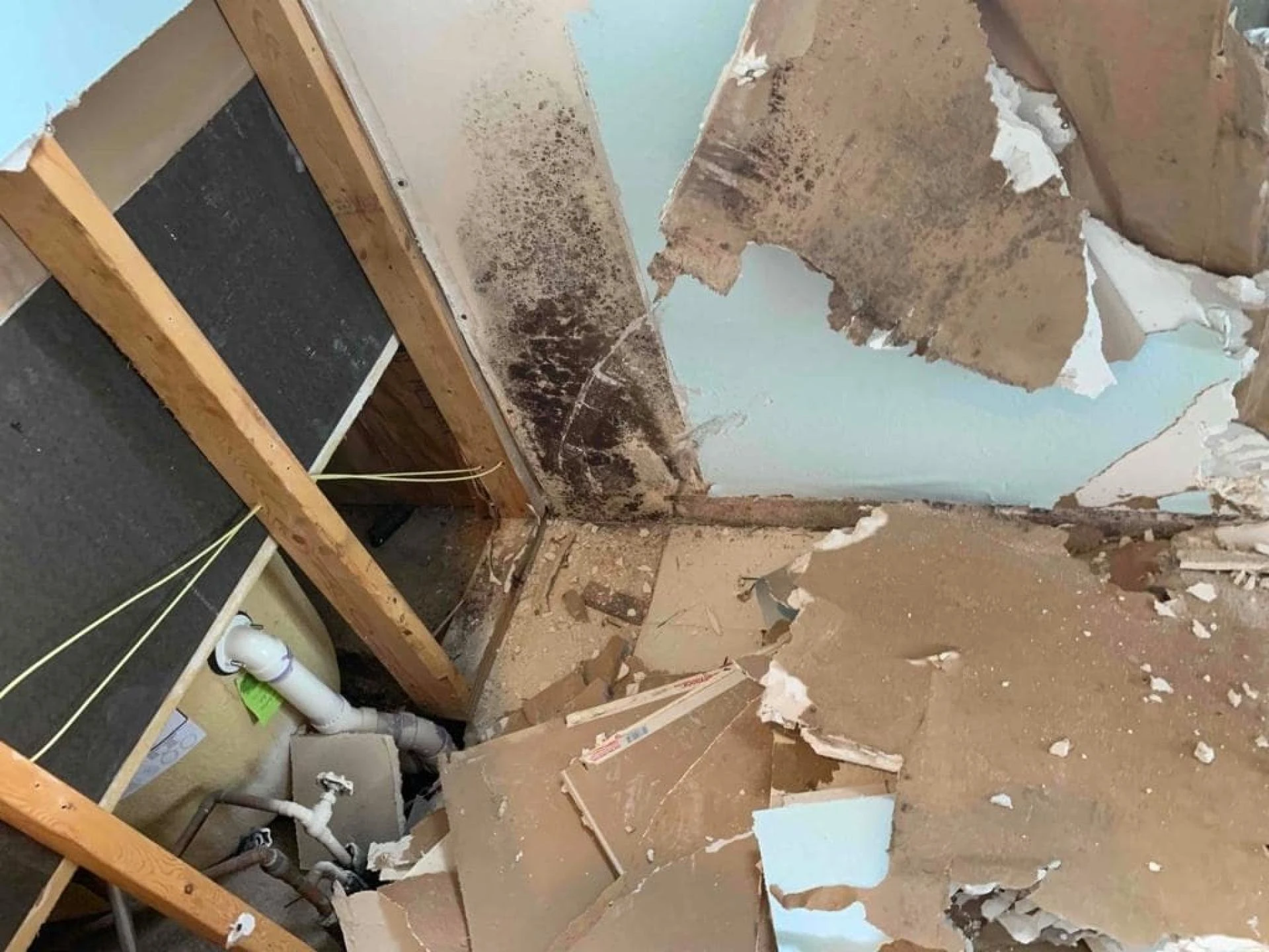 Mold Prevention Tips and Tricks in Bradenton's Climate