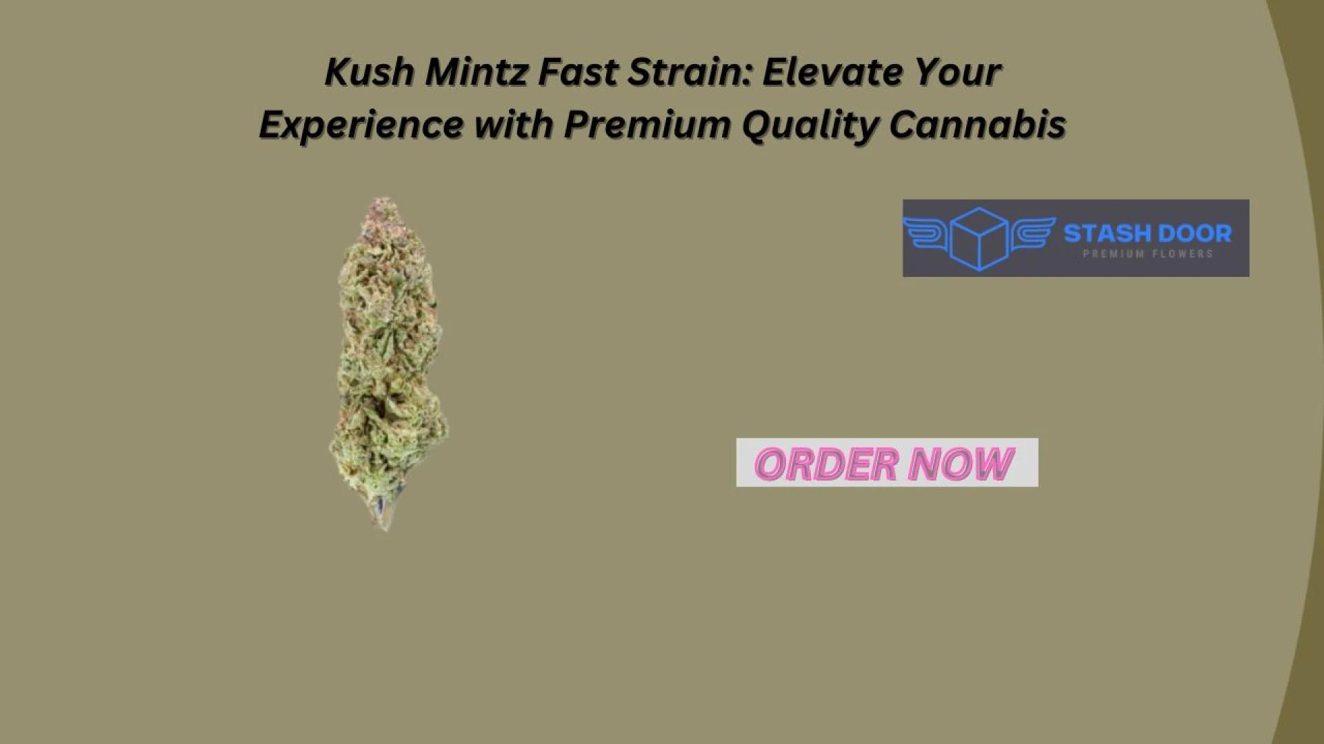 Kush Mintz Fast Strain: Elevate Your Experience with Premium Quality Cannabis