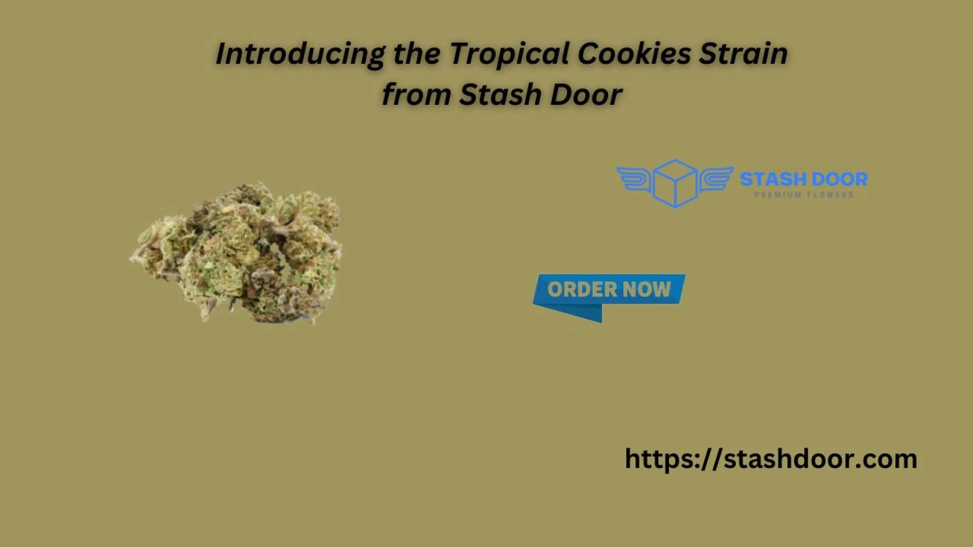 Introducing the Tropical Cookies Strain from Stash Door