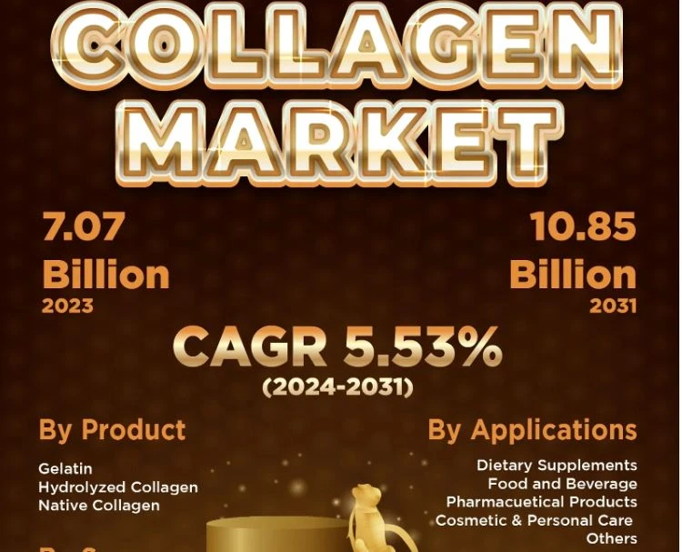 Collagen Market Size Worth $10.85 Million Globally by 2031 at a CAGR of 5.53% | Kings Research