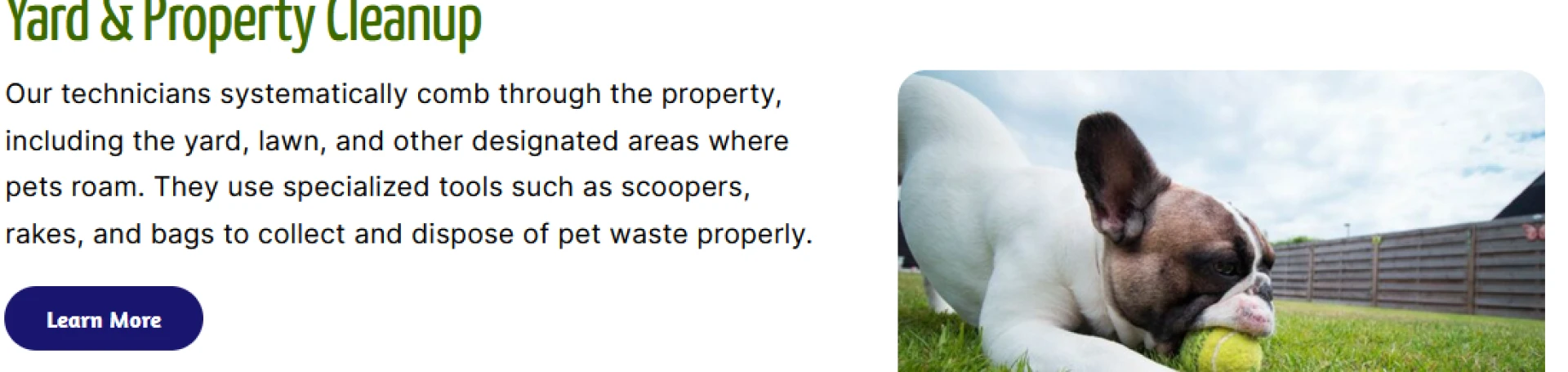 Keeping Kalamazoo Clean: The Rise of Pet Waste Removal Services!