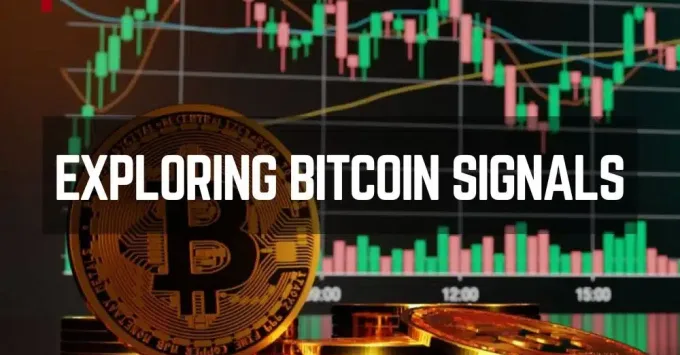 Best Bitcoin Signals Groups On Telegram