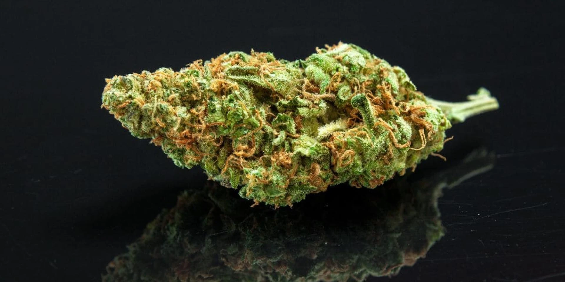 Try Insanely Delicious Weed Strains &amp; Best Bud Delivery in Alliston