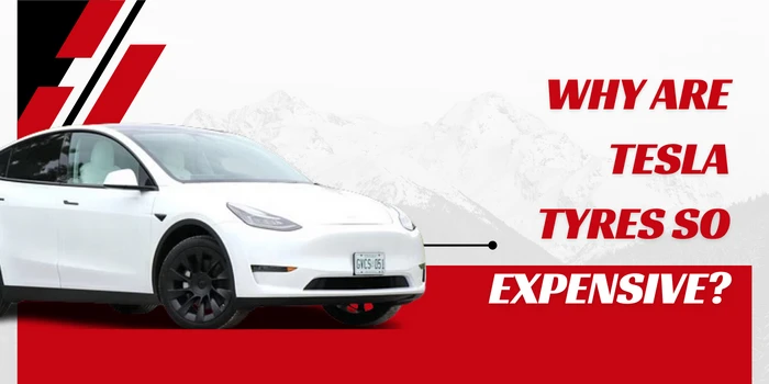 Why Are Tesla Tyres So Expensive?