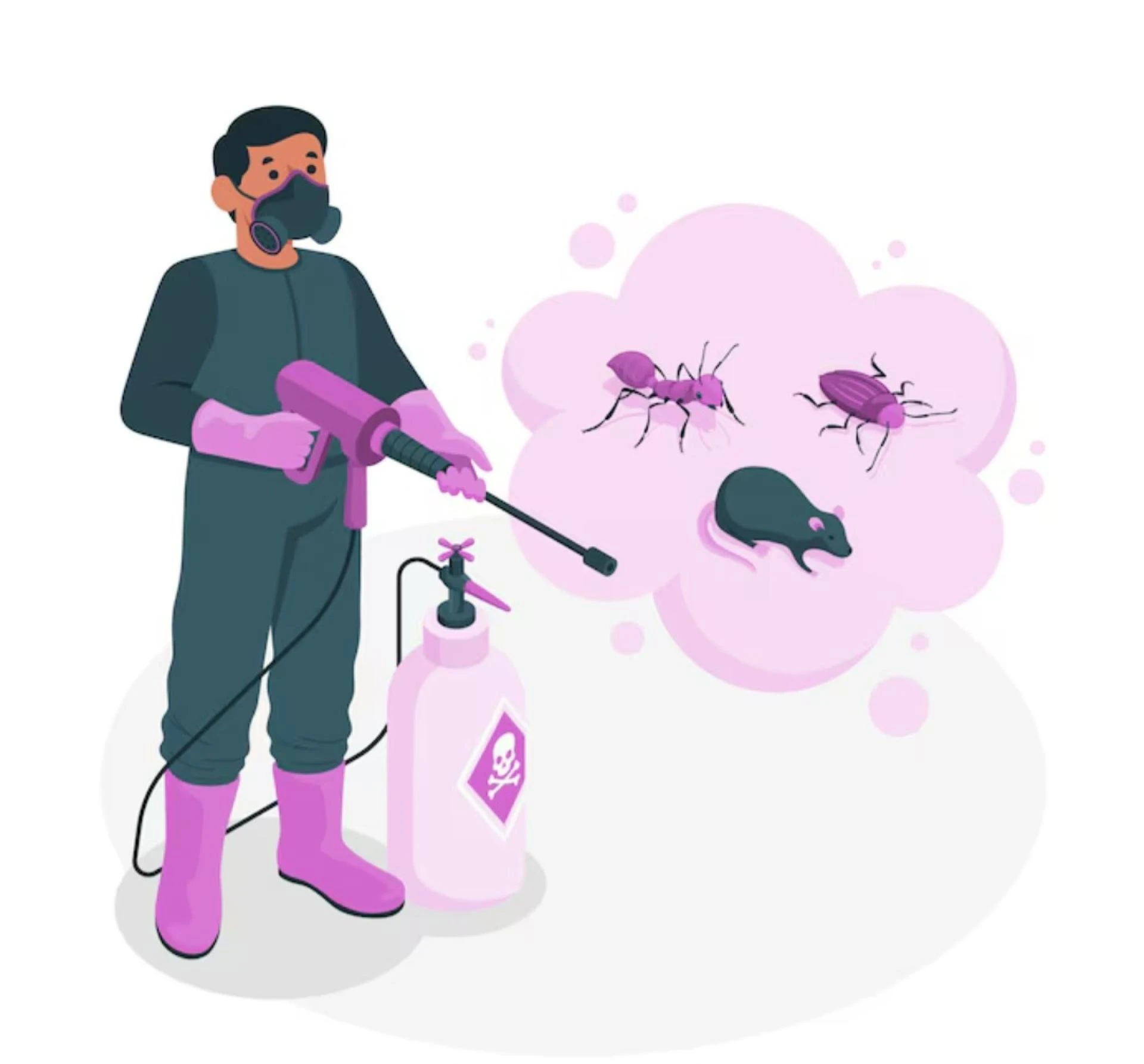 CHEAP AND BEST PEST CONTROL IN DUBAI