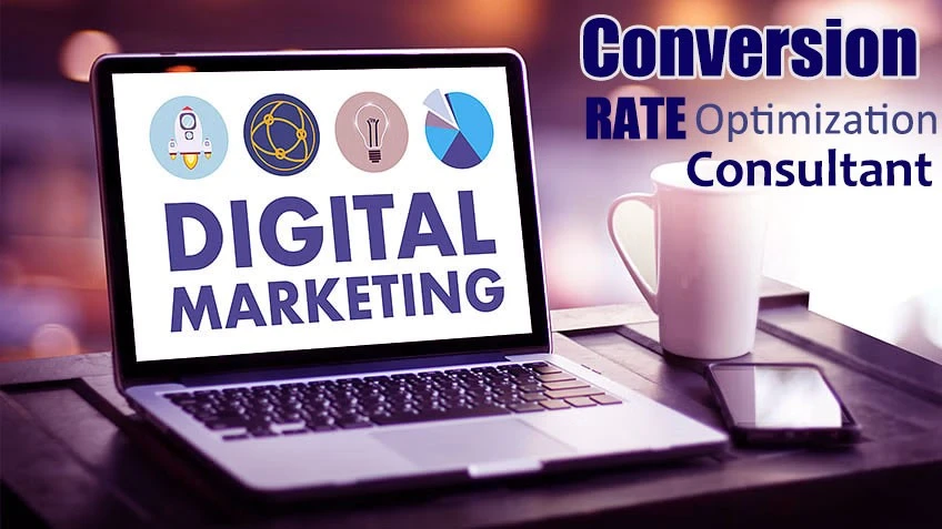 Transforming Traffic into Revenue: Insights from a CRO Consultant