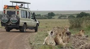 East Africa Safari Packages | Wildvoyager
