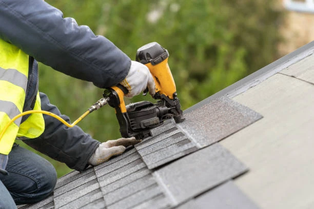 Keep your home safe with this ultimate guide to roof maintenance in Helmond