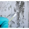 Why Professional Mold Testing and Inspection Services in Connecticut Are Essential for Your Health and Home