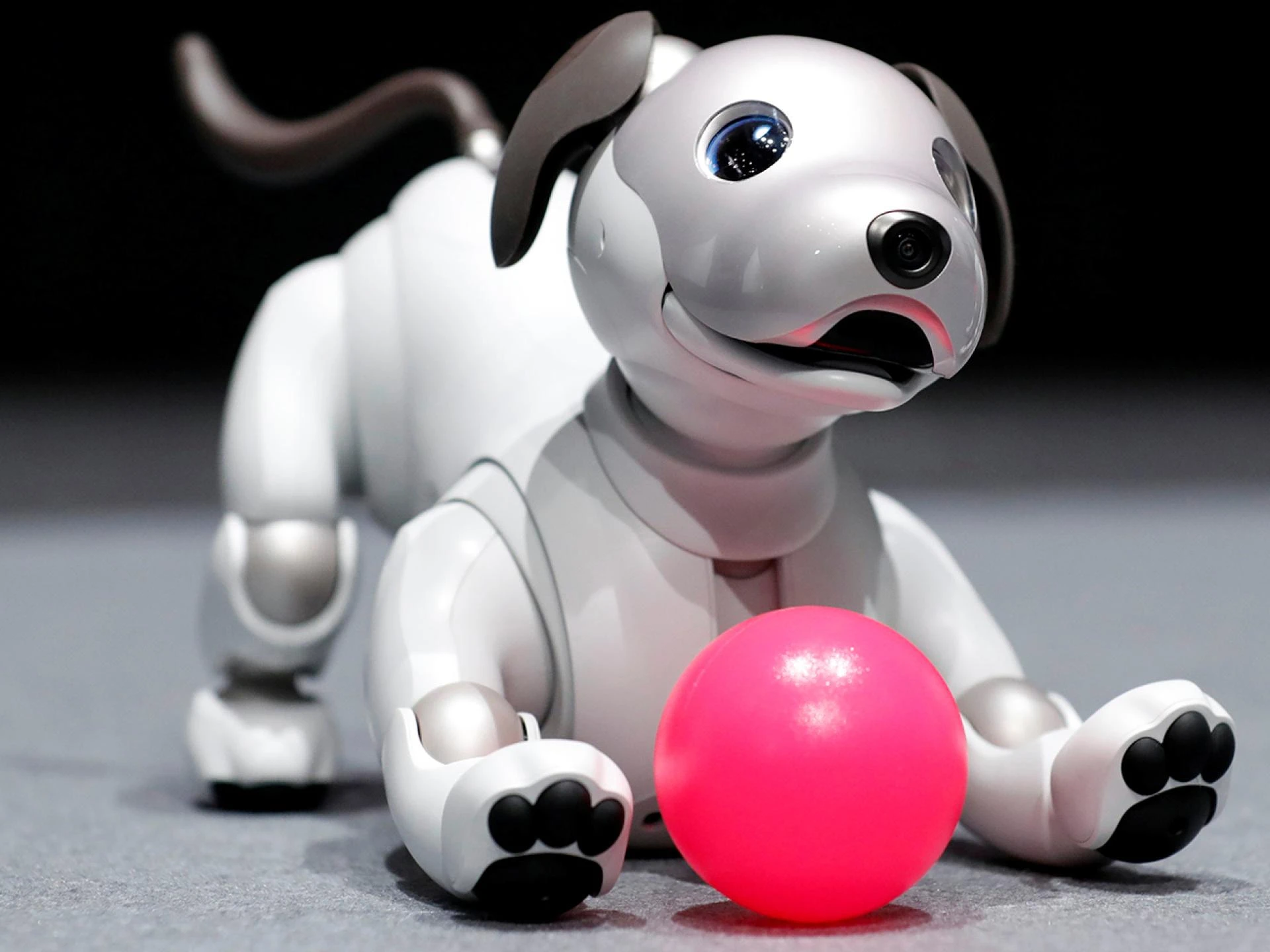 Robotic Pet Dogs Market Growth, Future Prospects &amp; Competitive Analysis, 2023 – 2030