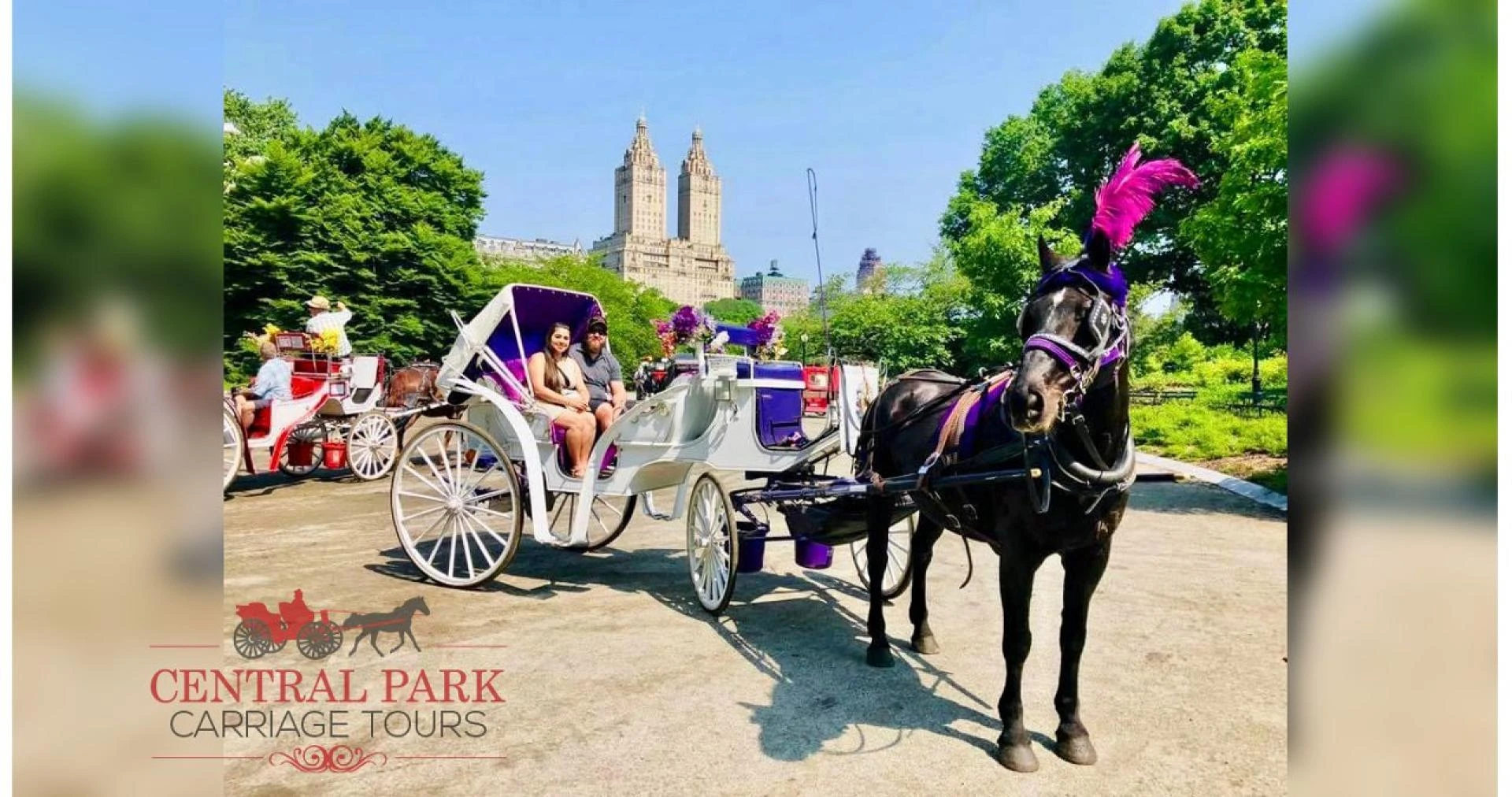 Create Unforgettable Experiences With Horse Carriage Rides in Central Park