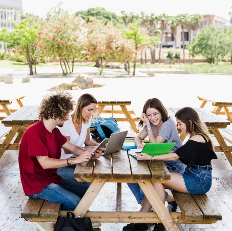 A Look at Uttaranchal University's Programs and Placements