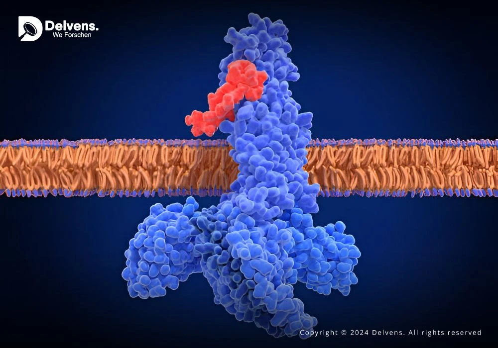 GLP-1 Receptor Agonist Market In-depth Insights, Revenue Details and Regional Analysis by 2030