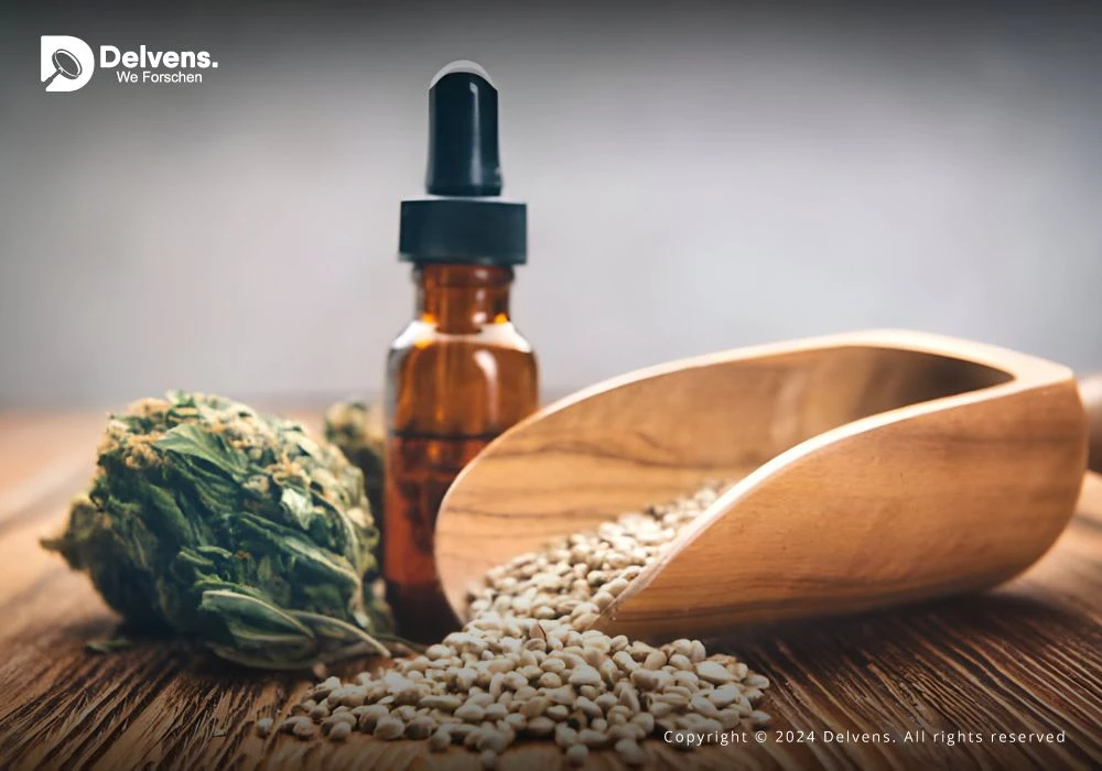 Cannabis Seeds Market 2024 Size, Trend Analysis, Development Strategies and Opportunity Assessment by 2030