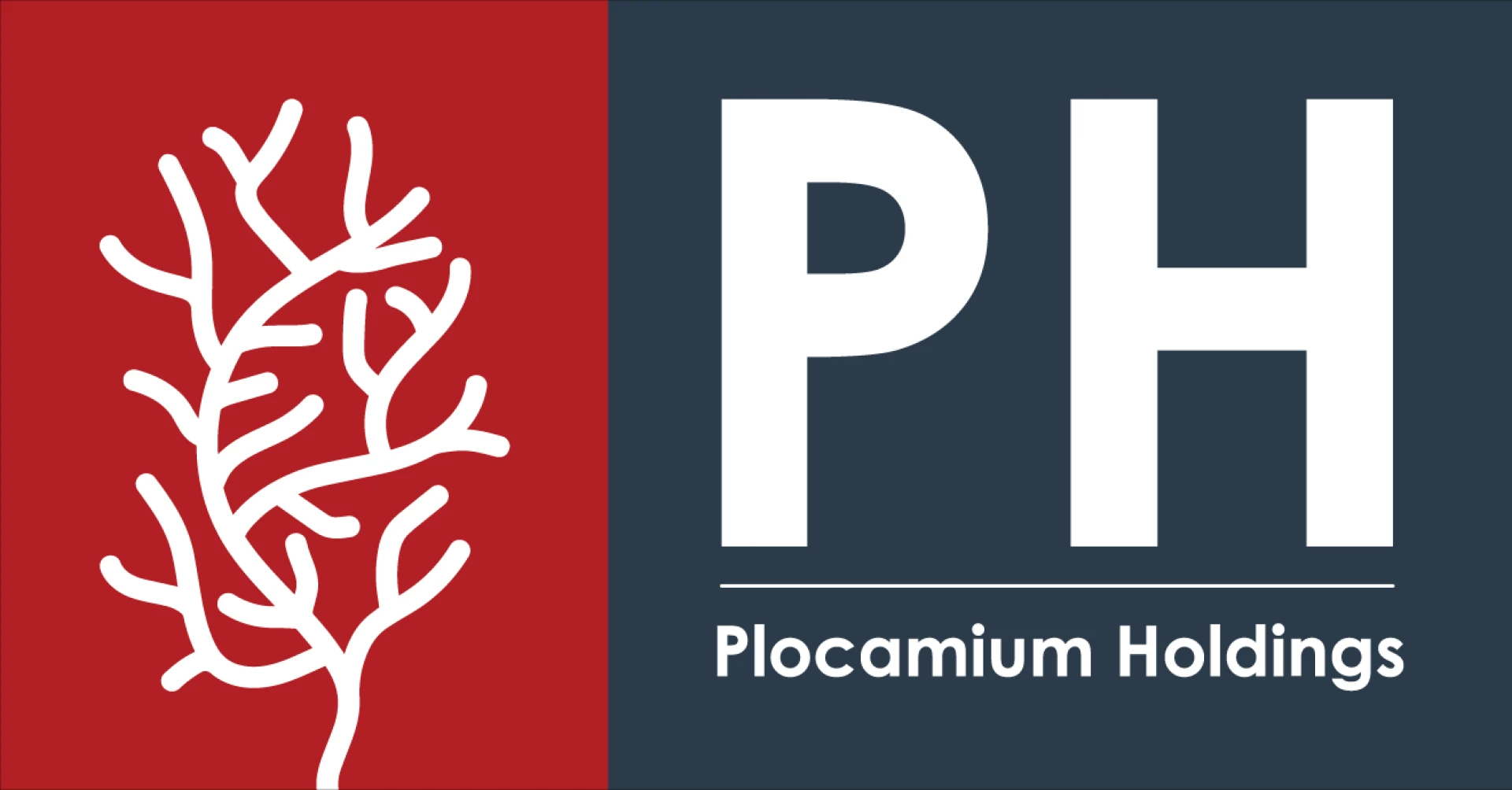 Plocamium Holdings: Strategic Growth in the Middle Market