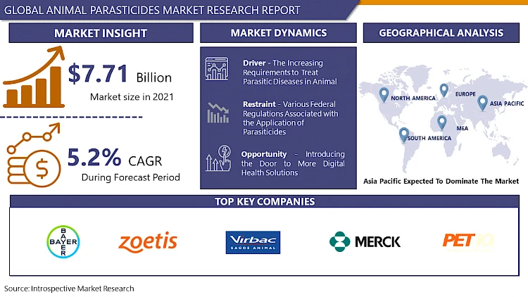 Animal Parasiticides Market Projected to Reach US$ 13.46 Billion by 2032 with a Positive CAGR of 5.2%