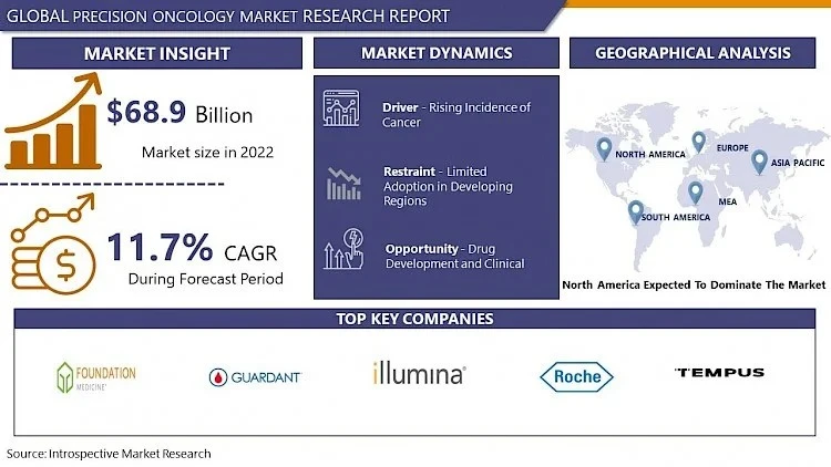 Precision Oncology Market Size is Valued to Soar USD 166.97 Billion by 2030|Says IMR
